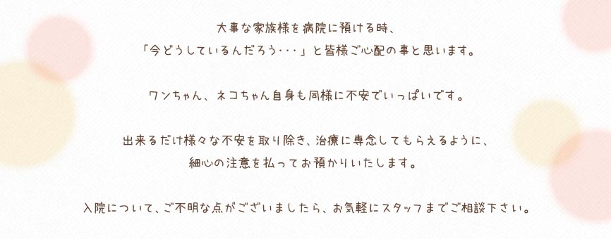 大事な家族様を病院に預ける時、「今どうしているんだろう・・・」と皆様ご心配の事と思います。ワンちゃん、ネコちゃん自身も同様に不安でいっぱいです。出来るだけ様々な不安を取り除き、治療に専念してもらえるように、細心の注意を払ってお預かりいたします。 入院につい